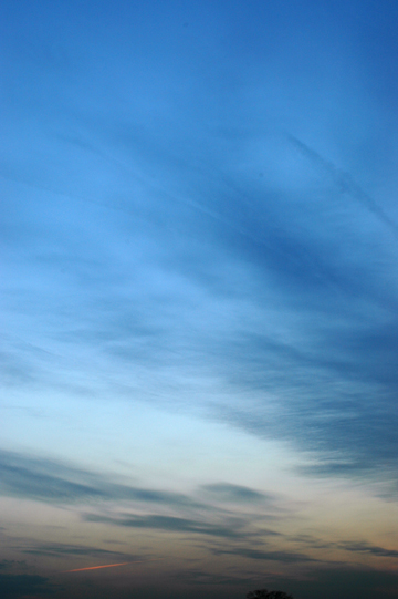 f0009722_1462382.jpg