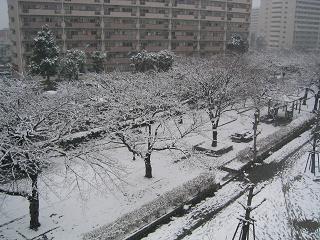 e0051636_2337423.jpg