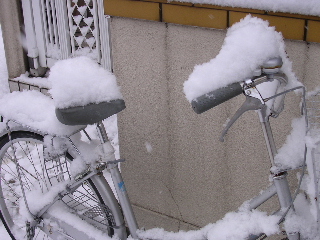 c0065643_15164020.jpg