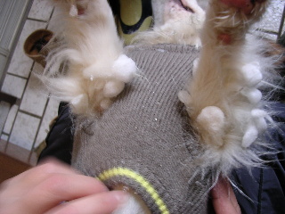 c0065643_15255735.jpg
