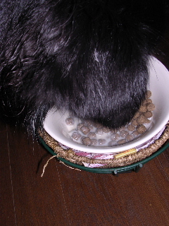 c0065643_15261044.jpg