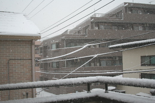 d0013149_2355020.jpg