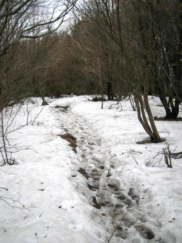 a0013751_23534424.jpg