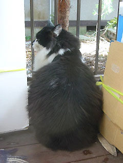 c0003752_2218122.jpg