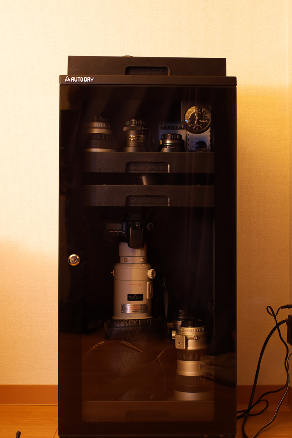 e0060169_206383.jpg