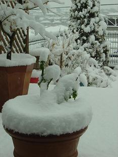 f0036269_13195676.jpg