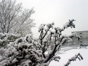 b0007076_1145221.jpg