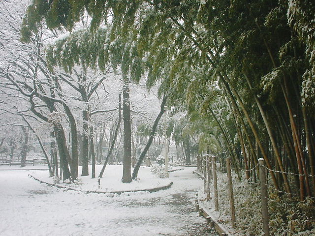 f0033980_1437515.jpg