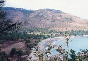 d0039981_2356427.jpg
