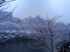 b0006289_213567.jpg