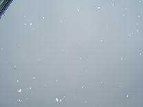 a0045990_14285840.jpg