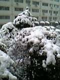 b0060091_2055386.jpg