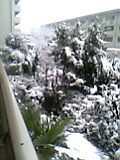 b0060091_20554869.jpg