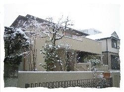 b0007893_1683240.jpg
