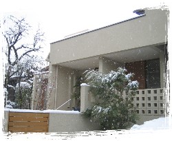b0007893_1684771.jpg