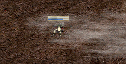 b0052295_1947115.gif