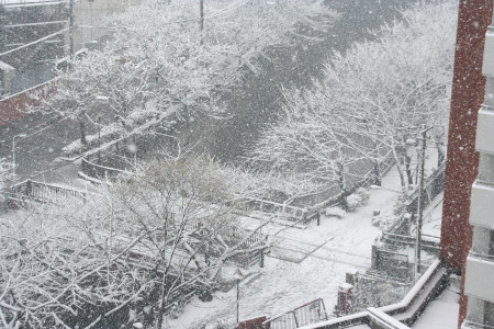 c0044199_236416.jpg