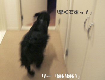 c0050400_0403065.jpg