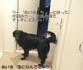 c0050400_0411682.jpg