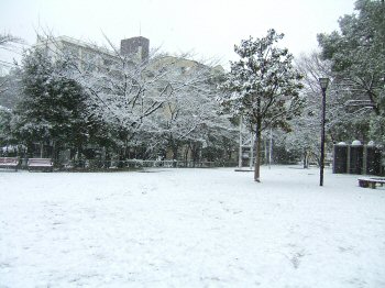 c0050400_1522912.jpg