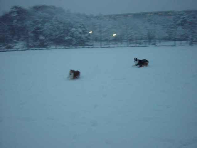 e0028401_0542622.jpg