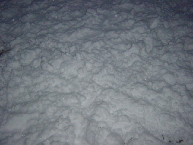 e0028401_0561498.jpg