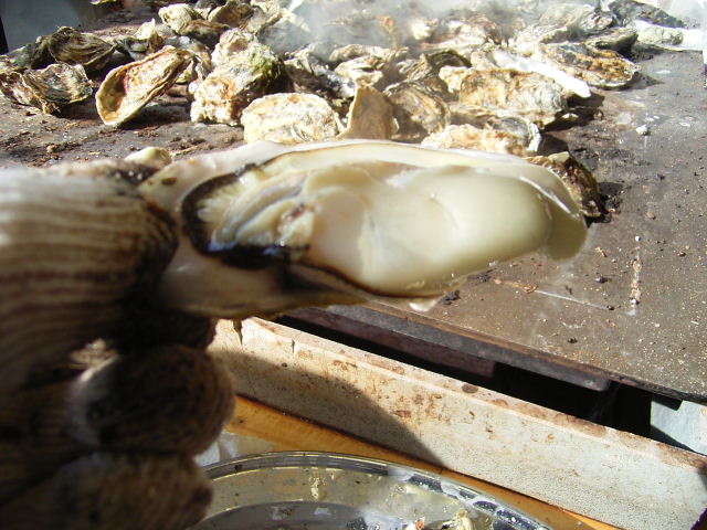 b0050305_186114.jpg