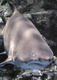 f0000010_233112.jpg