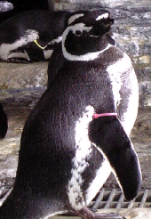 f0000010_23314355.jpg
