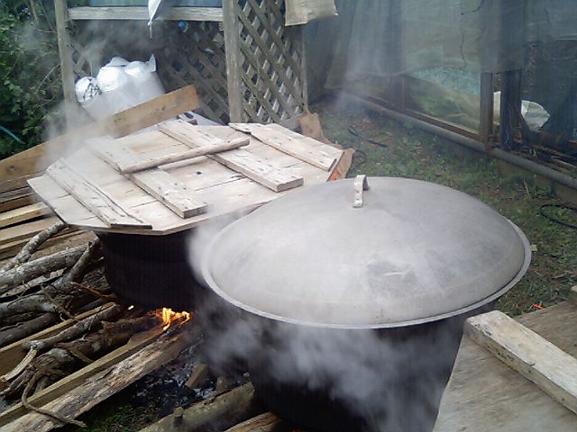 e0071811_19261130.jpg