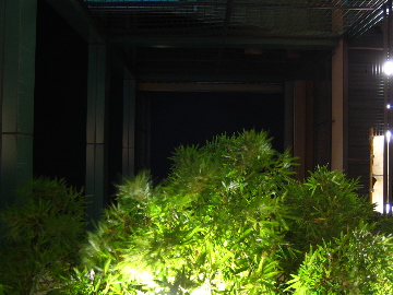 e0087511_128591.jpg