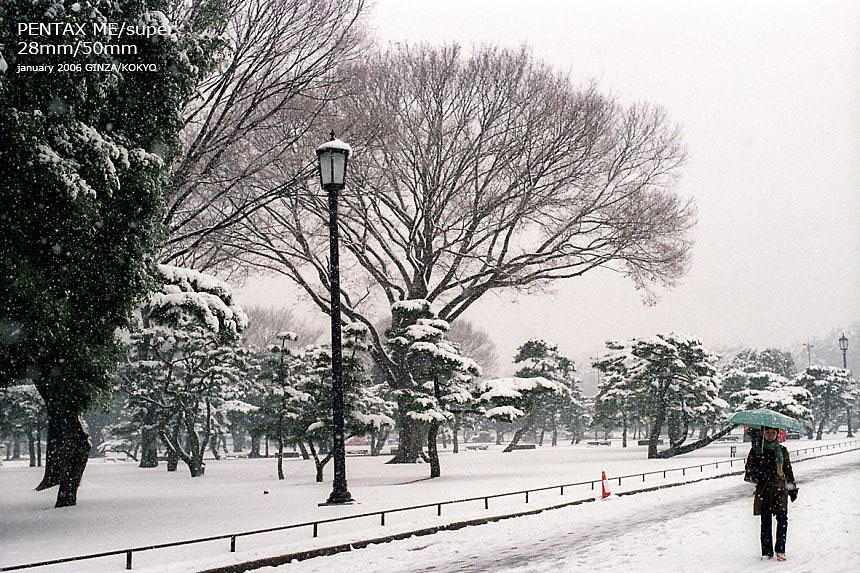 a0022814_0504781.jpg