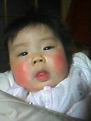a0059315_1022457.jpg