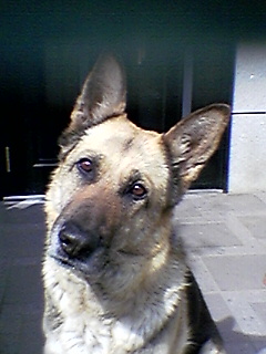 e0072215_164605.jpg