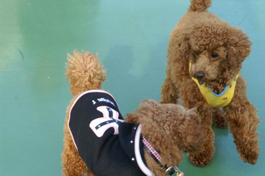 f0014815_2010509.jpg