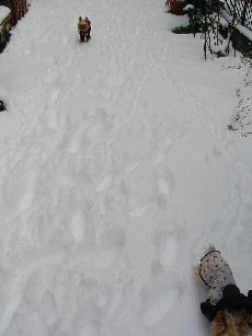 f0002833_18485233.jpg