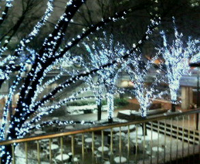 a0040736_2128789.jpg
