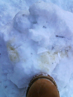 a0040736_22212029.jpg
