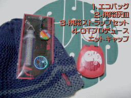 c0046340_17354260.jpg