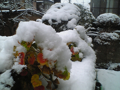 e0071440_15153056.jpg