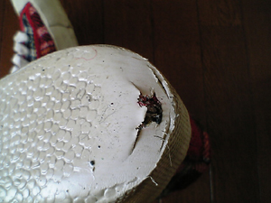 e0071440_15173677.jpg