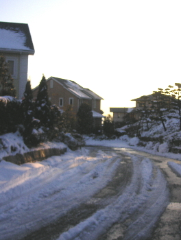 a0003150_18474193.jpg