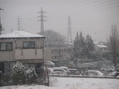c0041463_053417.jpg