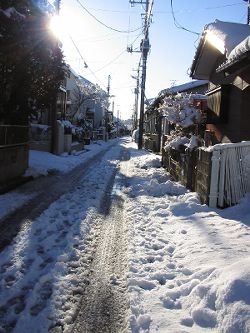 f0042571_17234383.jpg
