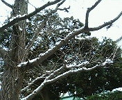e0037673_2311792.jpg