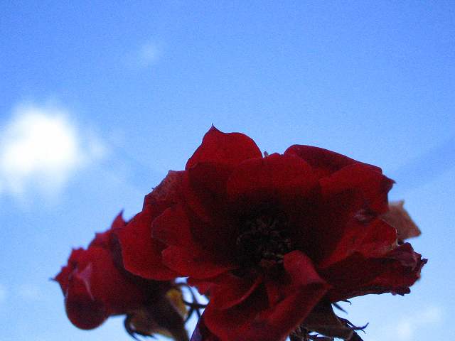 e0024081_23355048.jpg