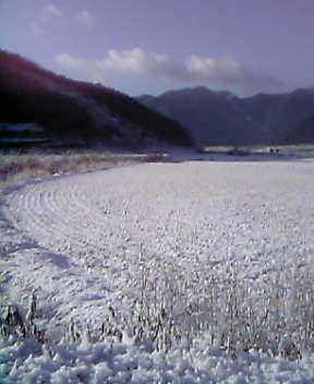 e0024081_9173945.jpg