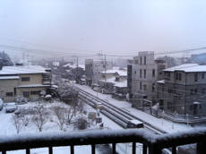 b0006289_384470.jpg