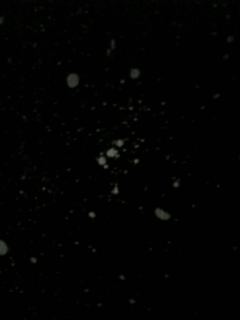 e0086589_19491951.jpg