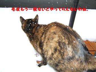 a0045990_22563515.jpg